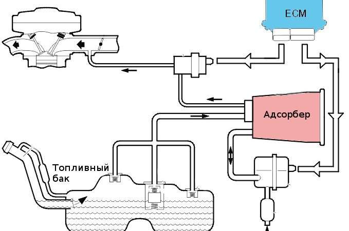 Абсорбер топливной системы автомобиля: принцип работы и преимущества