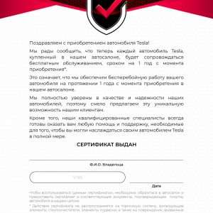 Гарантия на электронику автомобиля