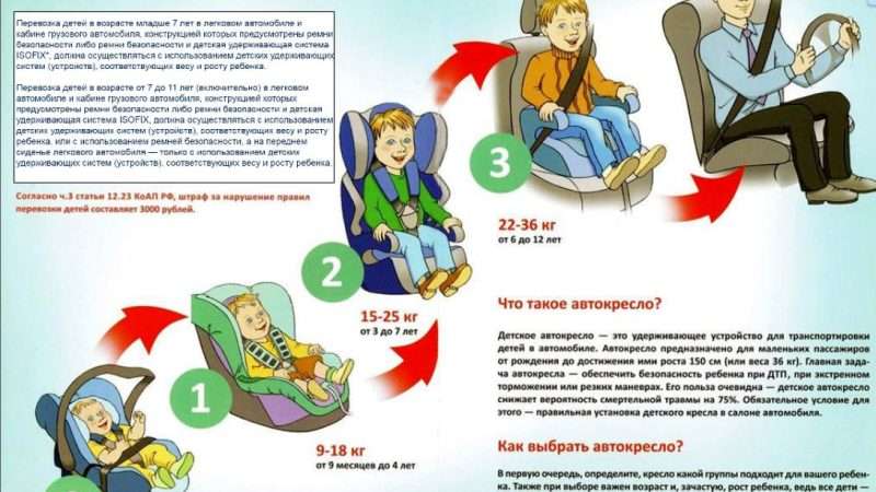 Правила перевозки детей в автомобиле без ремней безопасности