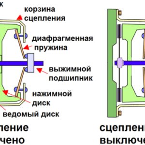 Сцепление автомобиля: принцип работы, типы и обслуживание